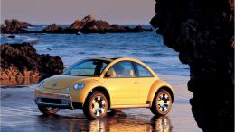 Volkswagen Beetle Dune